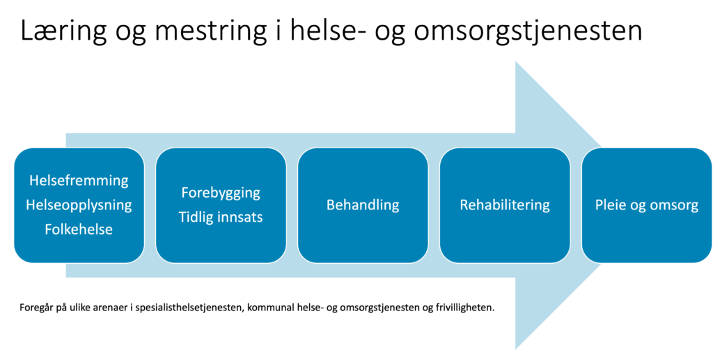 Hva er læring og mestring mestring.no