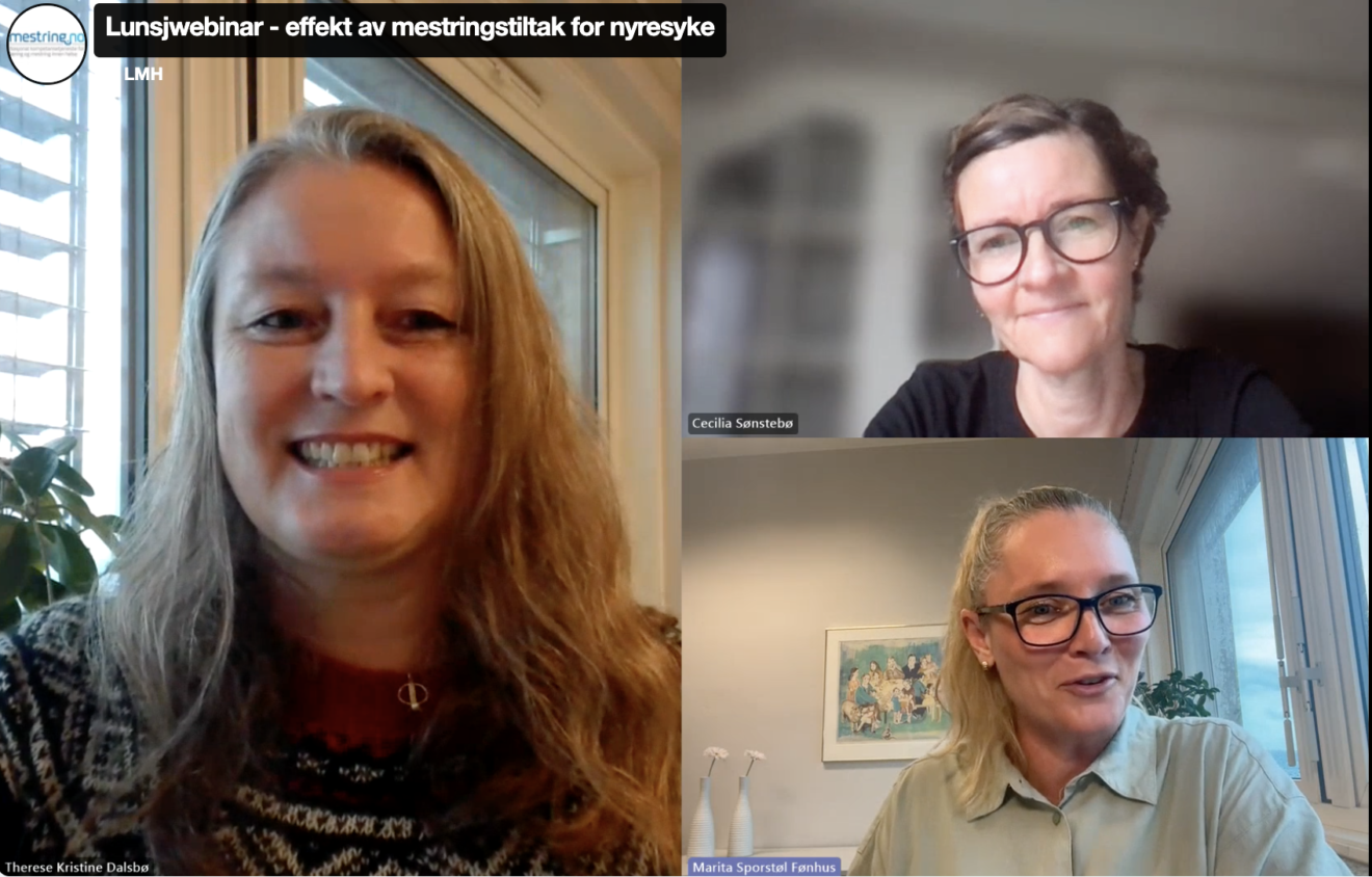 Se opptak av lunsjwebinar