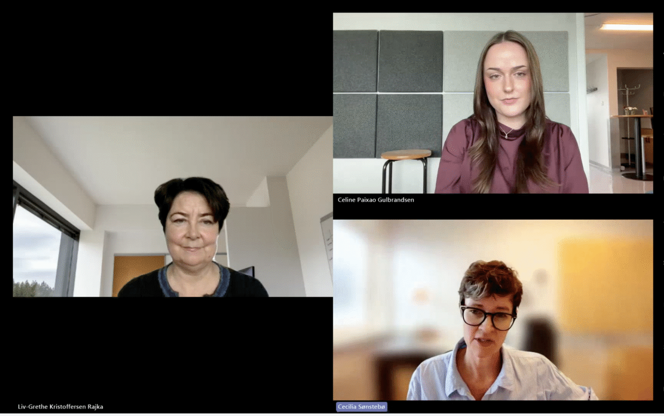 Se opptak av webinar om ungdomshelse